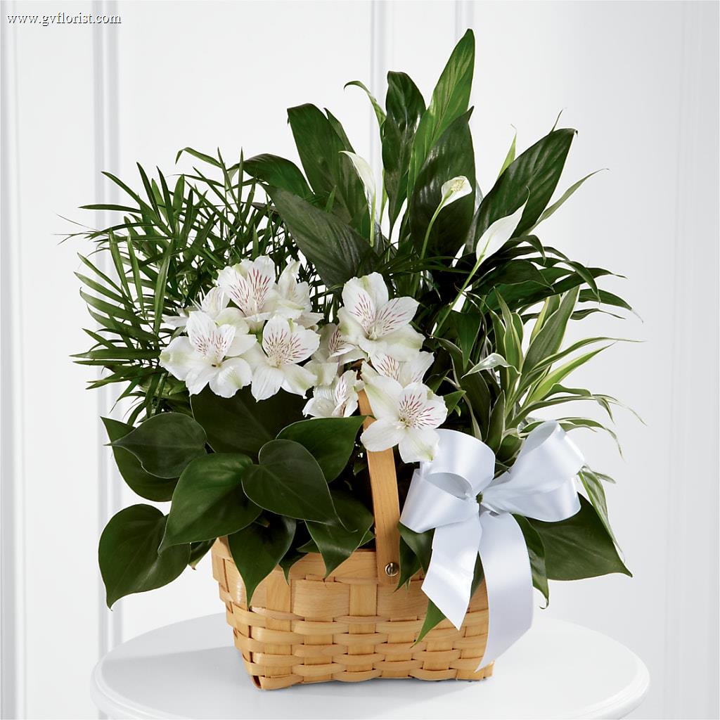 Peace & Serenity Dishgarden – Grass Valley Florist, Grass Valley CA