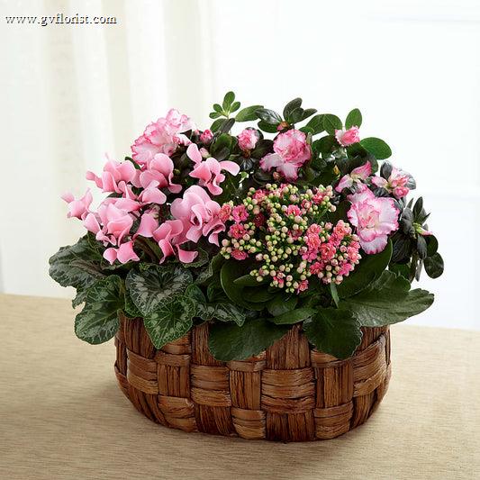 Pink Assortment –  Grass Valley Florist, Grass Valley CA