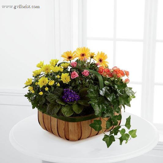 Gentle Blossoms Basket –  Grass Valley Florist, Grass Valley CA