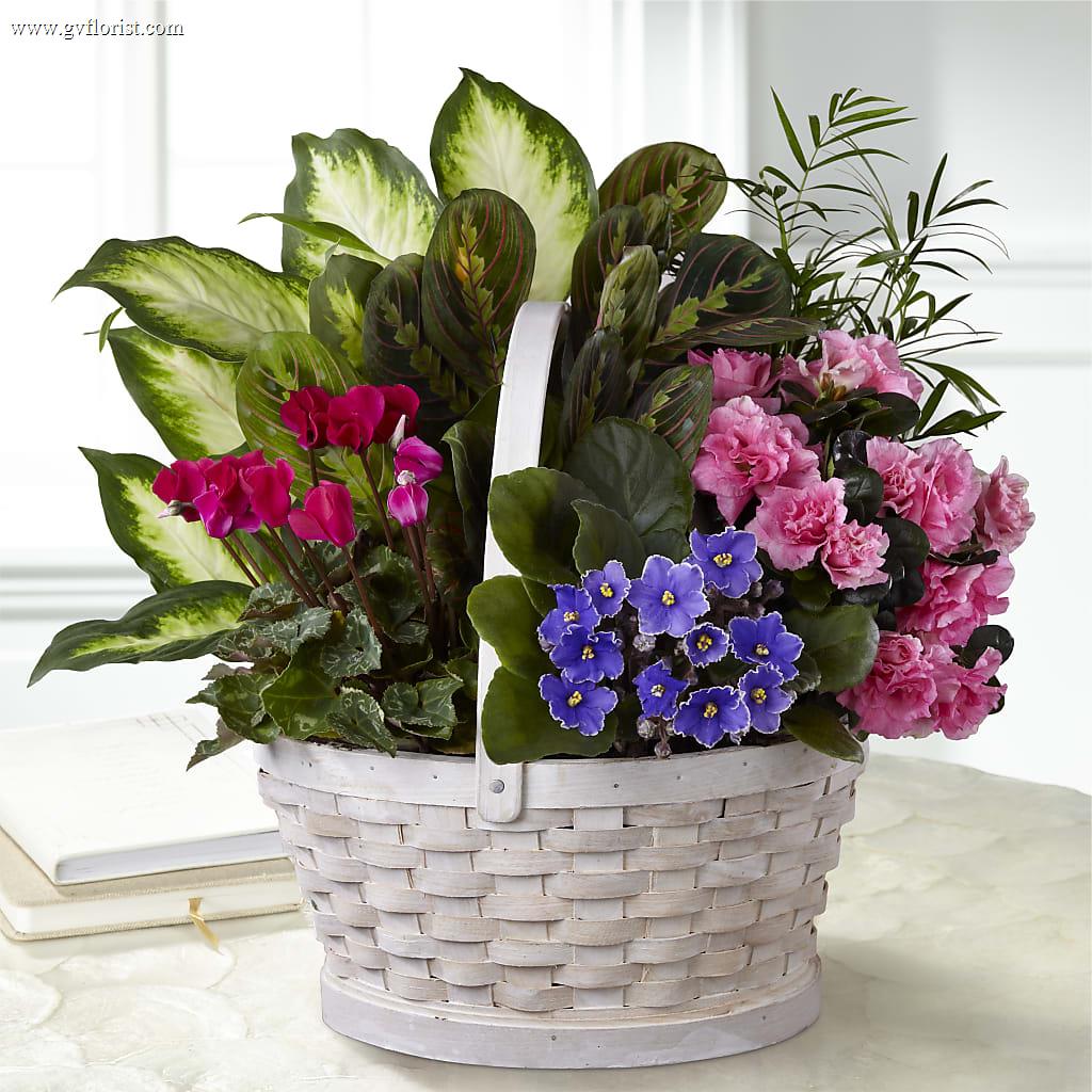 Peaceful Garden Planter – Grass Valley Florist, Grass Valley CA