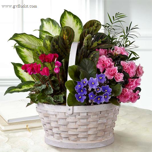 Peaceful Garden Planter –  Grass Valley Florist, Grass Valley CA