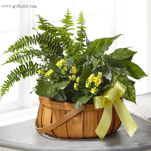 Always Dear Dishgarden –  Grass Valley Florist, Grass Valley CA
