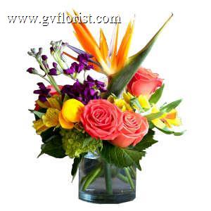 Paradise –  Grass Valley Florist, Grass Valley CA