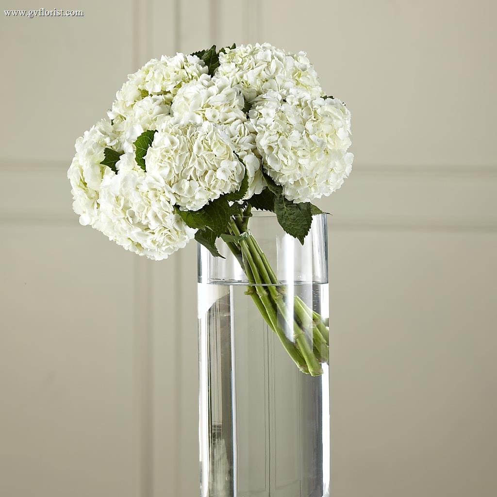 White Hydrangea Hand-Tied Bouquet – Grass Valley Florist, Grass Valley CA