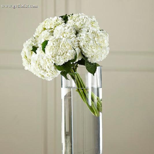 White Hydrangea Hand-Tied Bouquet –  Grass Valley Florist, Grass Valley CA