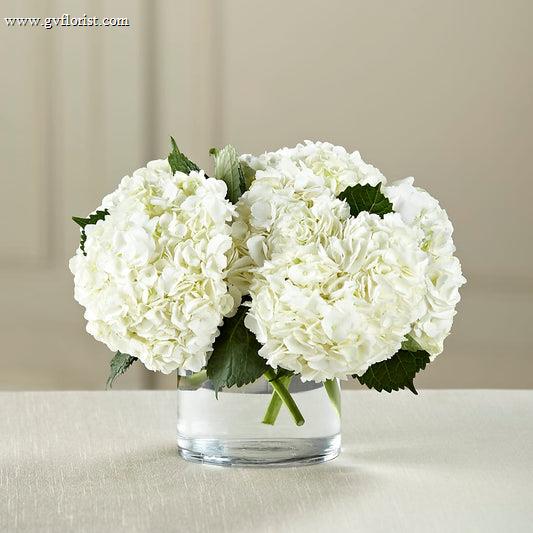 White Hydrangea Bouquet –  Grass Valley Florist, Grass Valley CA
